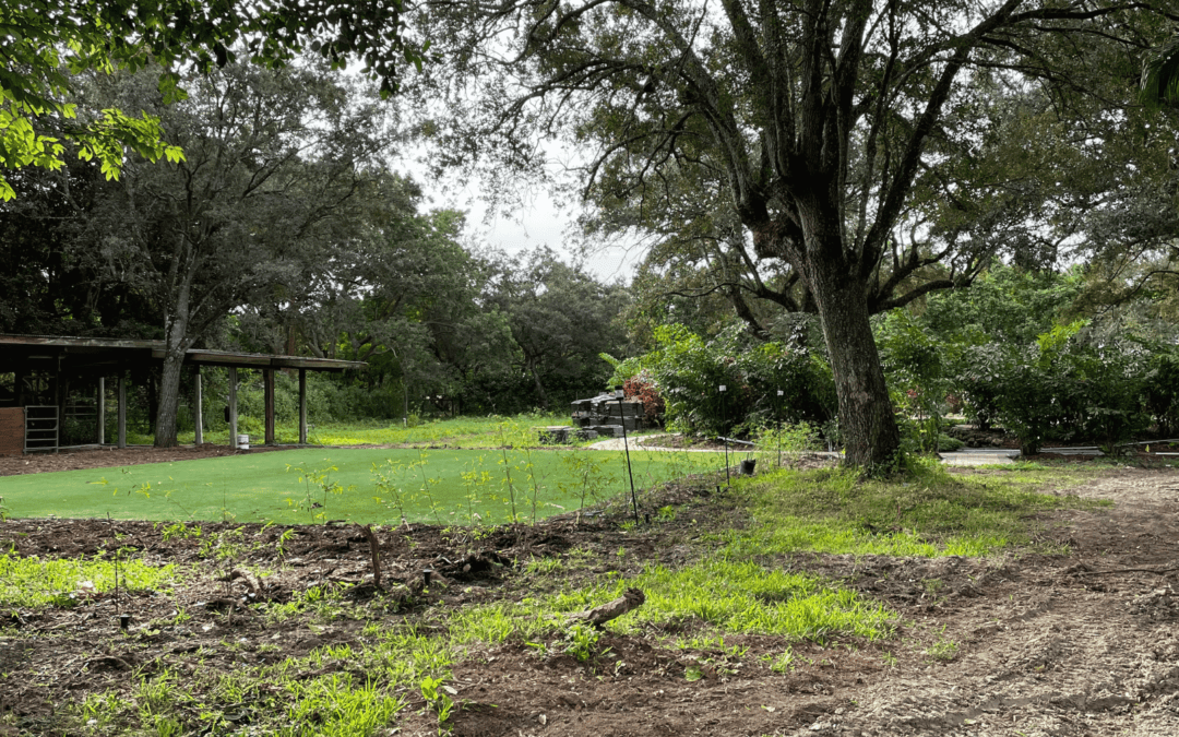 Why Outdoor Settings Enhance Team-Building Events in Miami?