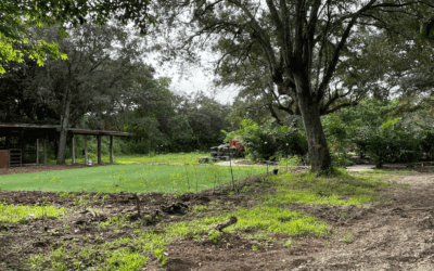 Why Outdoor Settings Enhance Team-Building Events in Miami?
